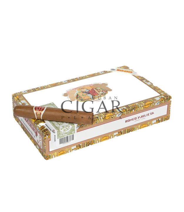 Plaza Romeo y Julieta Exhibicion No. 4