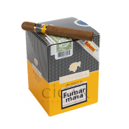 Plaza Cigar On Top