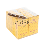 Montecristo Short