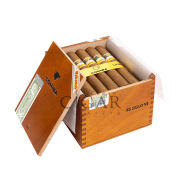 Cohiba Siglo VI 
