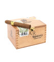 Trinidad Reyes (Box 24) thumbnail