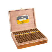 Cohiba Esplendidos